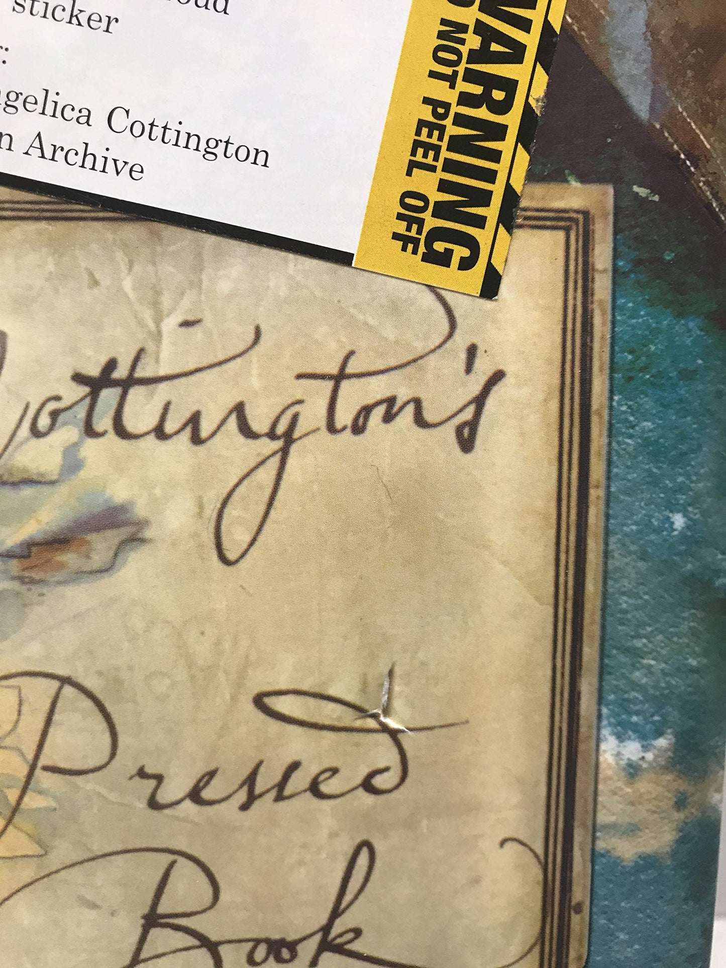 Lady Cottington's Pressed Fairy Book: 10 3/4 Anniversary Edi