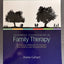 Mastering Competencies in Family Therapy: A Practical Approach to Theory and Clinical Case Documentation