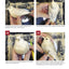 Backyard Birds: Learn How to Carve and Paint 5 Beautiful Songbirds