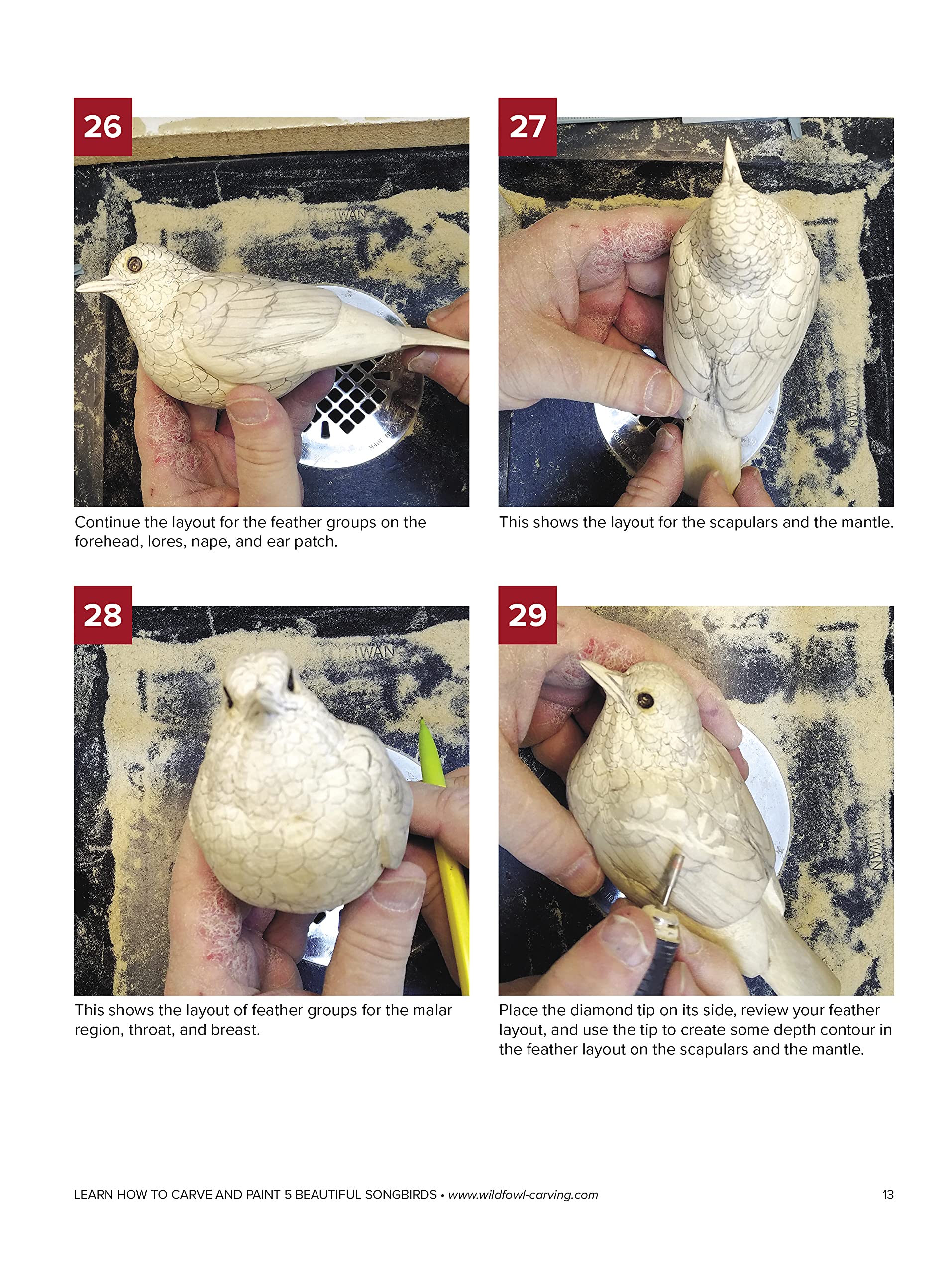 Backyard Birds: Learn How to Carve and Paint 5 Beautiful Songbirds