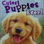 Cutest Puppies Ever!