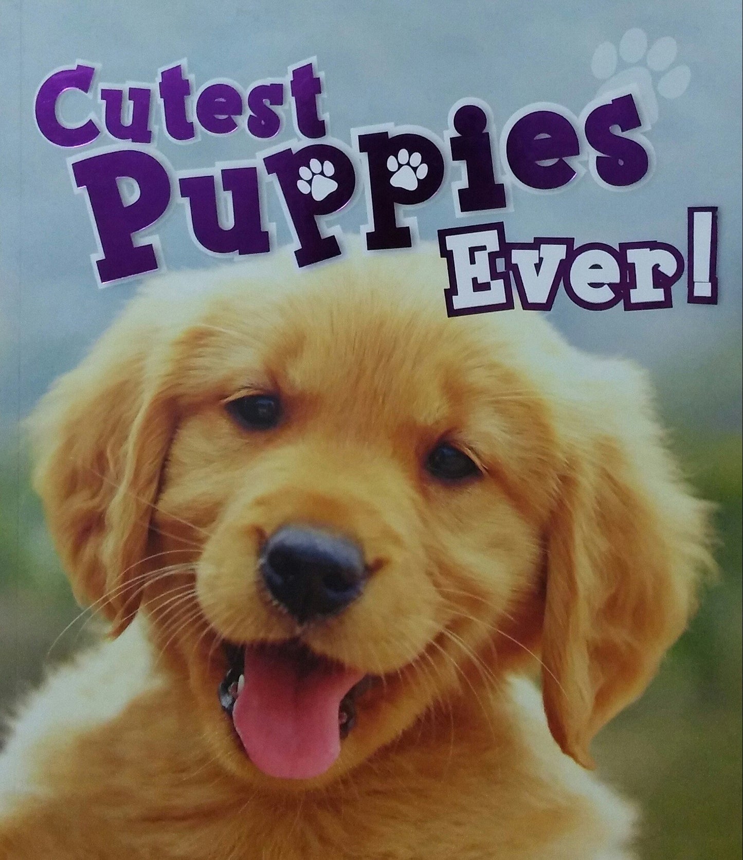 Cutest Puppies Ever!