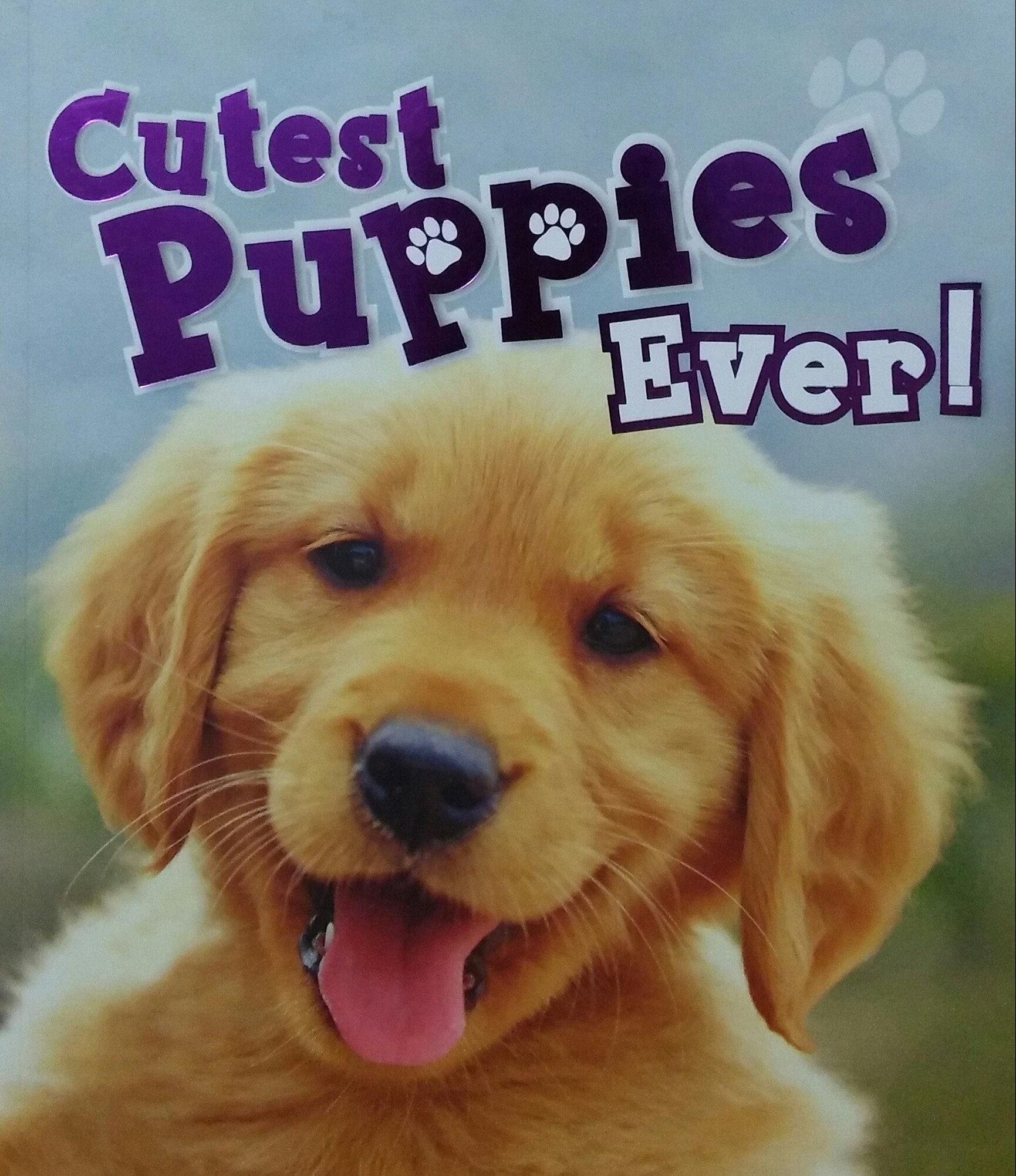 Cutest Puppies Ever!