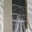Endurance: Shackleton's Incredible Voyage