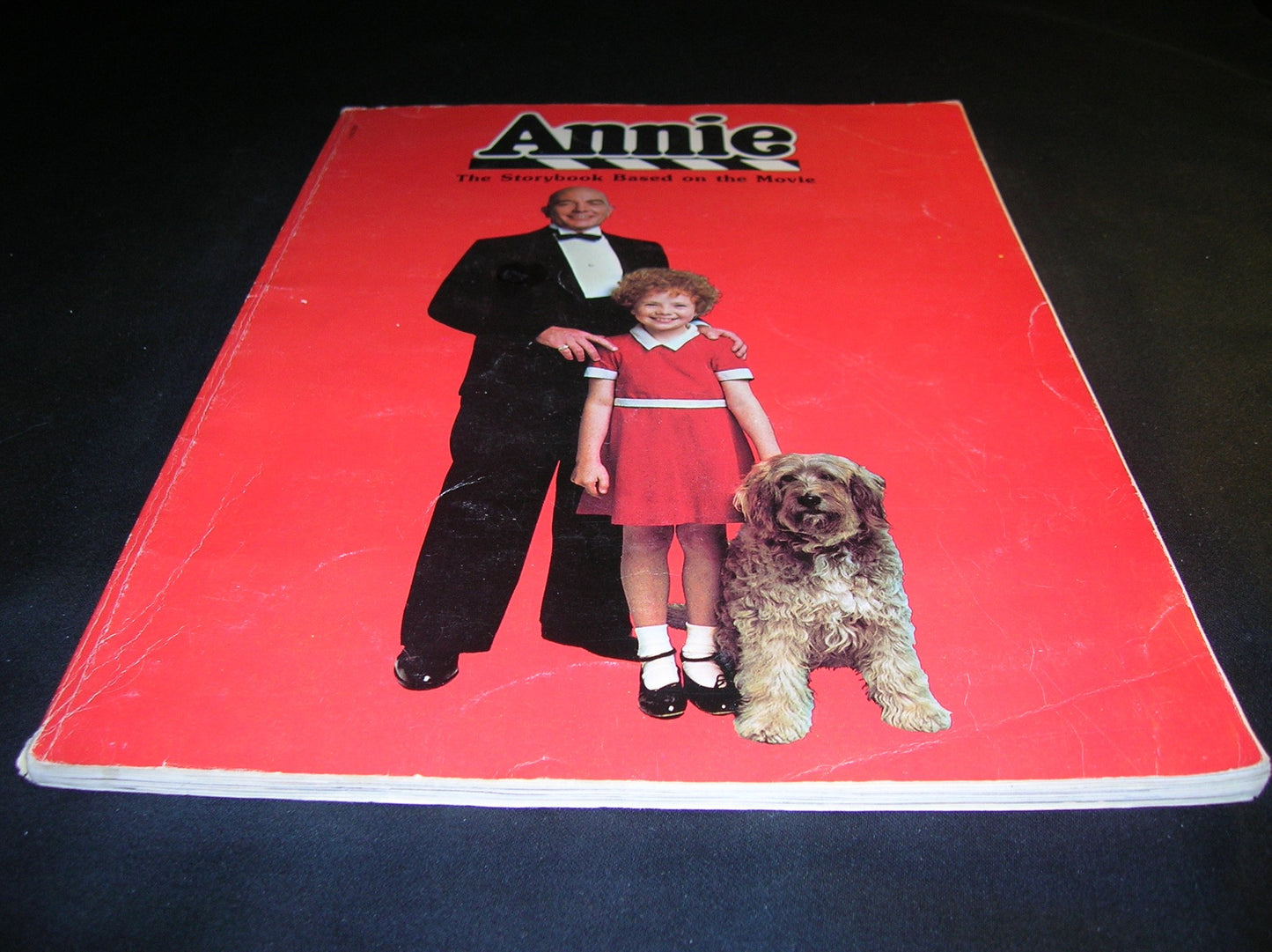 Annie: The Storybook Based on the Movie by Amy Ehrlich