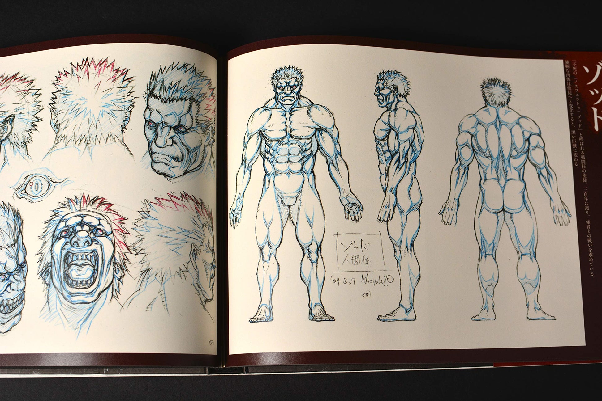 Anime MOvie -BERSERK Illustration ART BOOK Character Part [Japanese Edition]