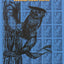 Owl's Eyes & Seeking a Spirit: Kootenai Indian Stories