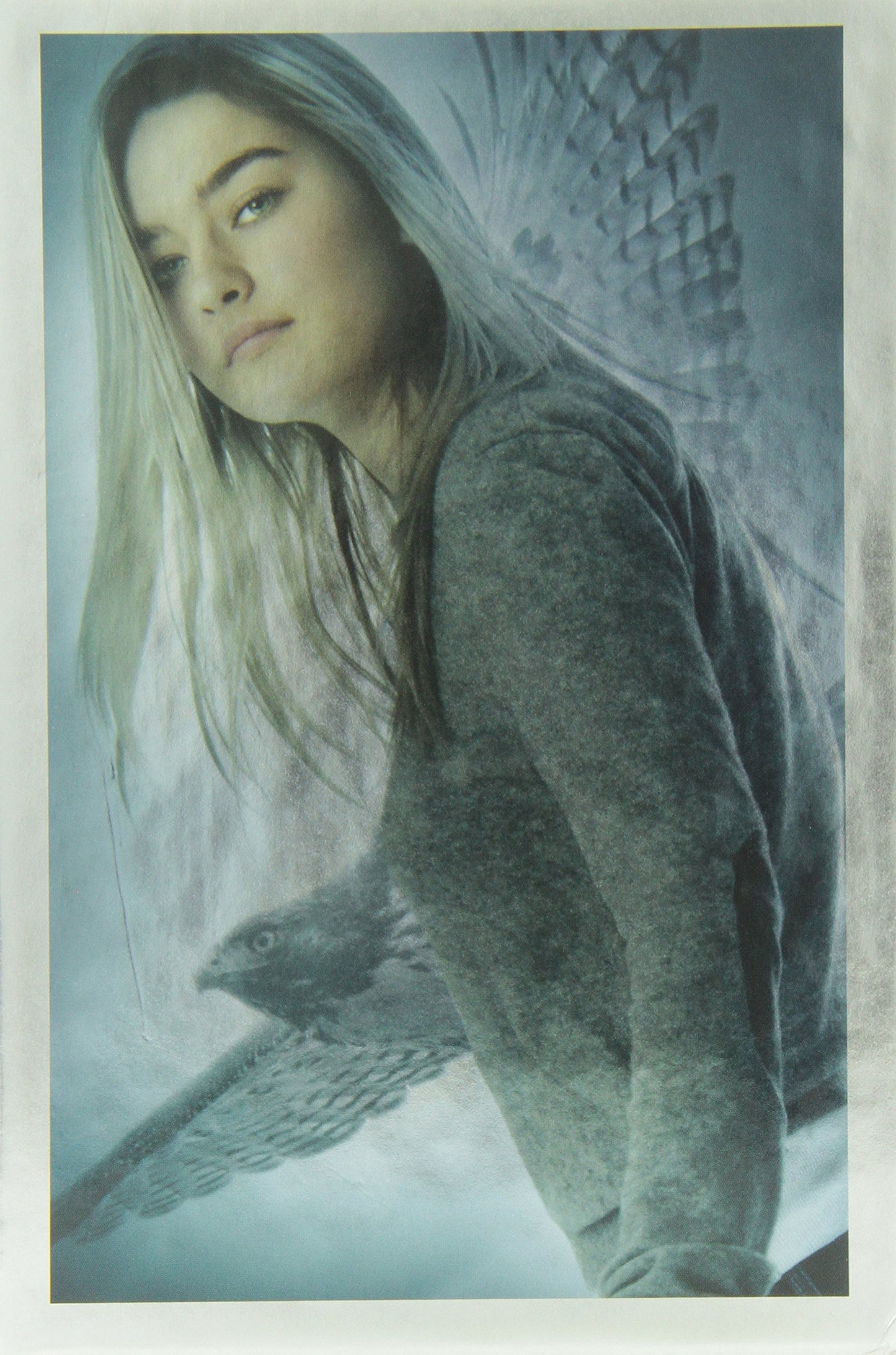 Maximum Ride Box Set (Maximum Ride, School's Out Forever, Sa