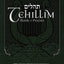 Tehillim - Book of Psalms with English Translation & Commentary: With Commentary from the Talmud, Midrash, Kabbalah, Classic Commentators and the Chasidic Masters