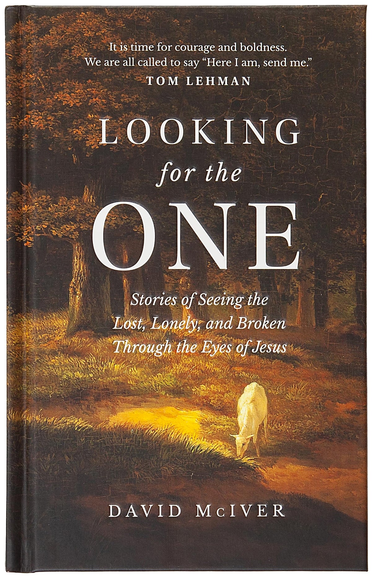 Looking for the One: Stories of Seeing the Lost, Lonely, and Broken Through the Eyes of Jesus