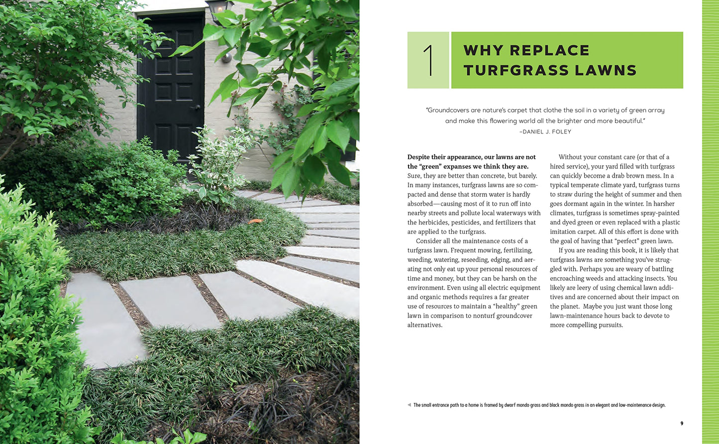 Groundcover Revolution: How to use sustainable, low-maintenance, low-water groundcovers to replace your turf - 40 alternative choices for: - No Mowing. - No fertilizing. - No pesticides. - No problem!