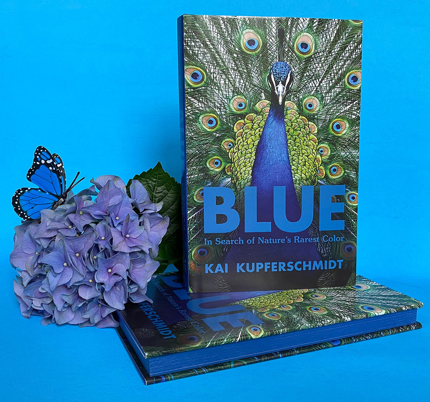 Blue: In Search of Nature's Rarest Color
