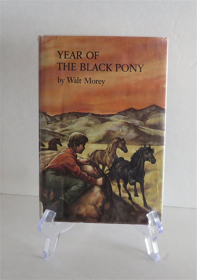 The Year of the Black Pony
