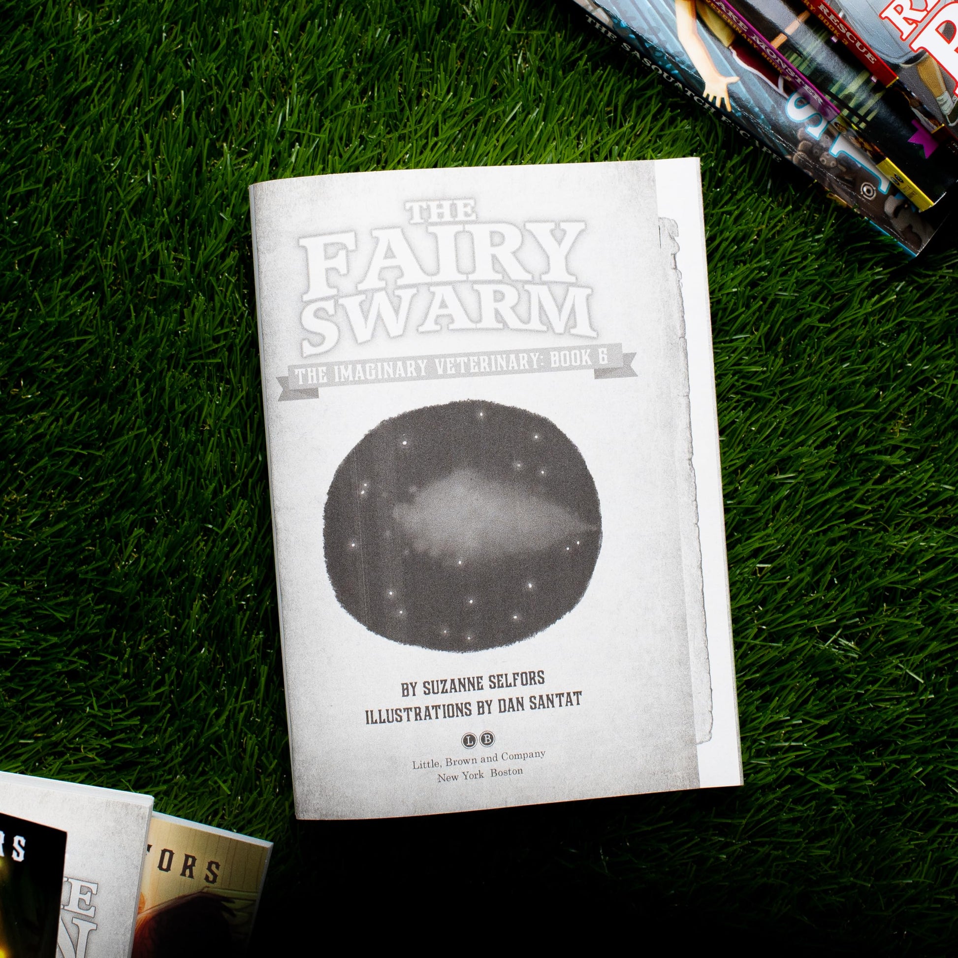 The Fairy Swarm (The Imaginary Veterinary, 6)