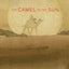 The Camel in the Sun