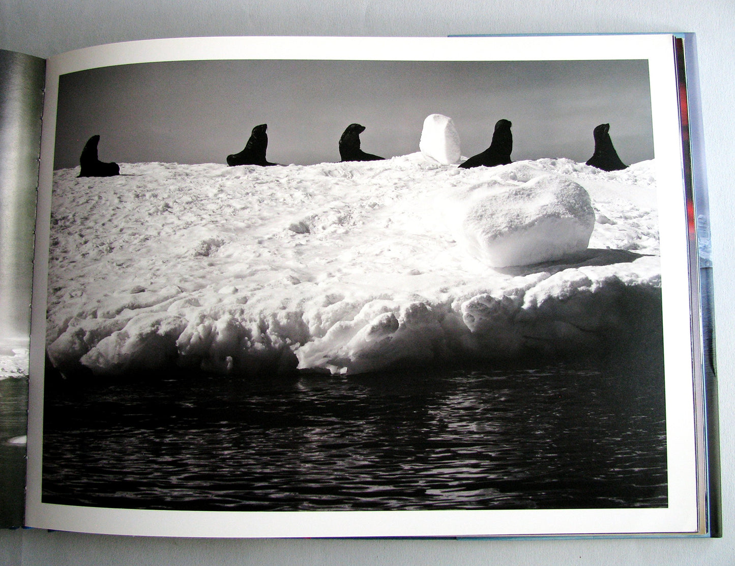 Antarctica: The Global Warning by Sebastian Copeland