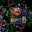 Belladonna (Belladonna, 1)