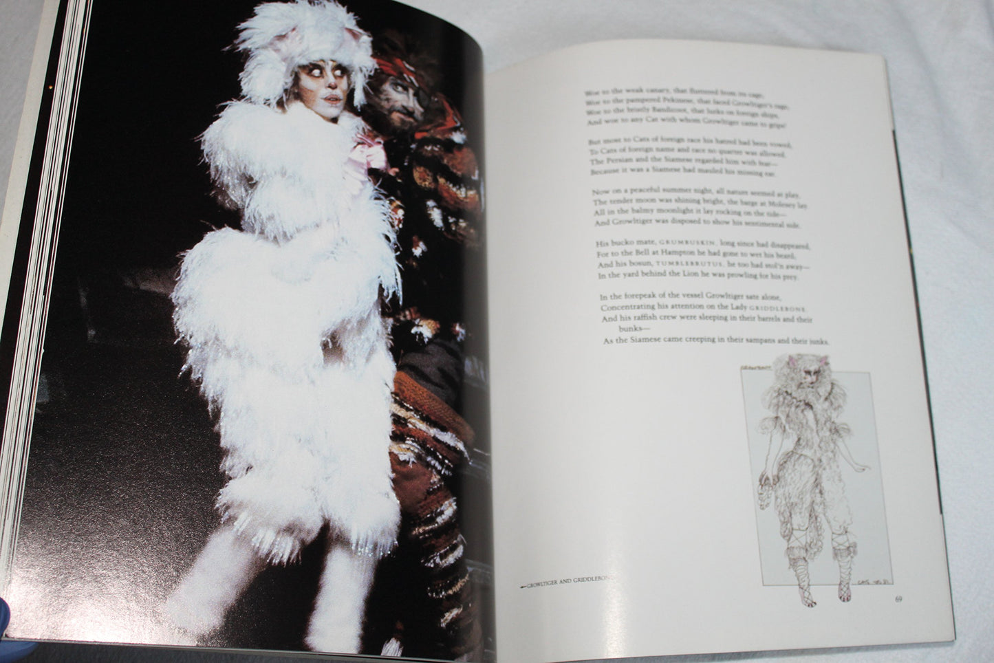 Cats: The Book of the Musical by Eliot, T. S.