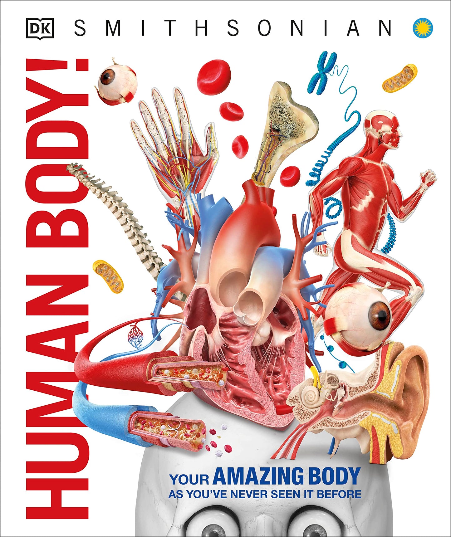 Knowledge Encyclopedia Human Body!: Human Anatomy as You've Never Seen It Before