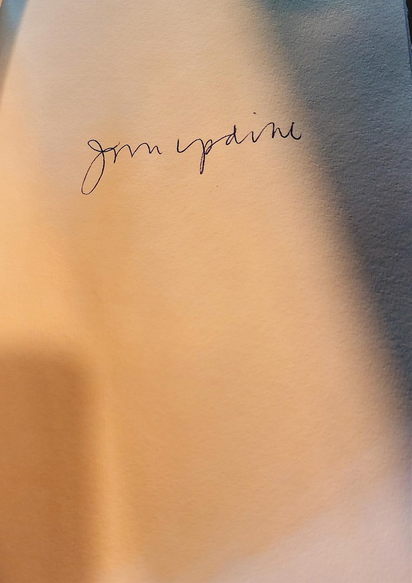 In the Beauty of the Lilies by Updike, John