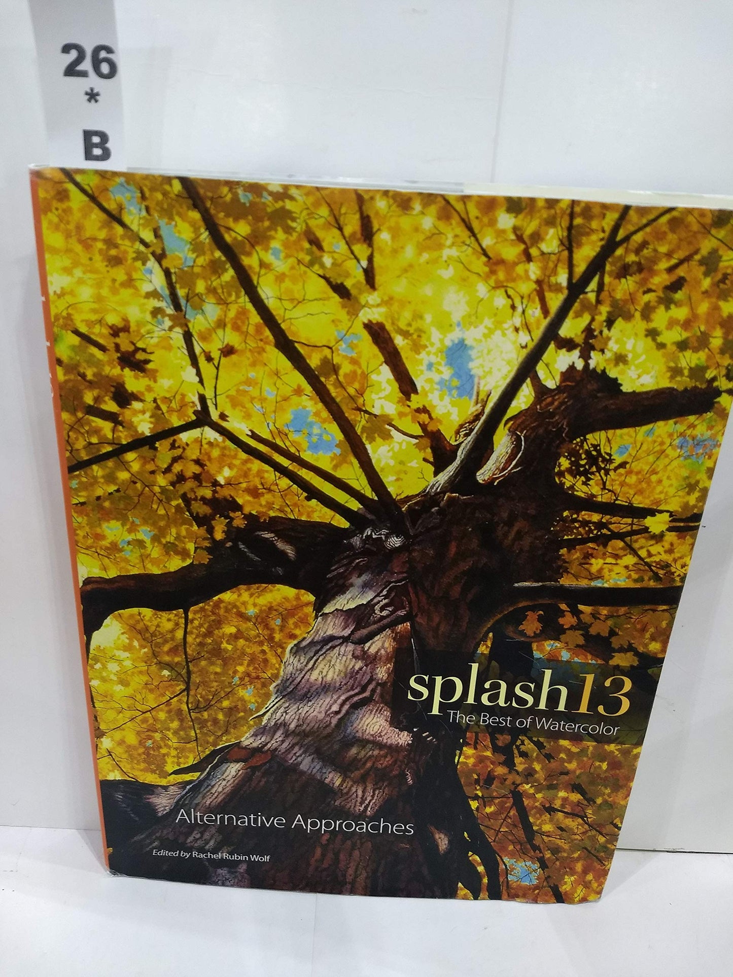 Splash 13: The Best of Watercolor: Alternative Approaches