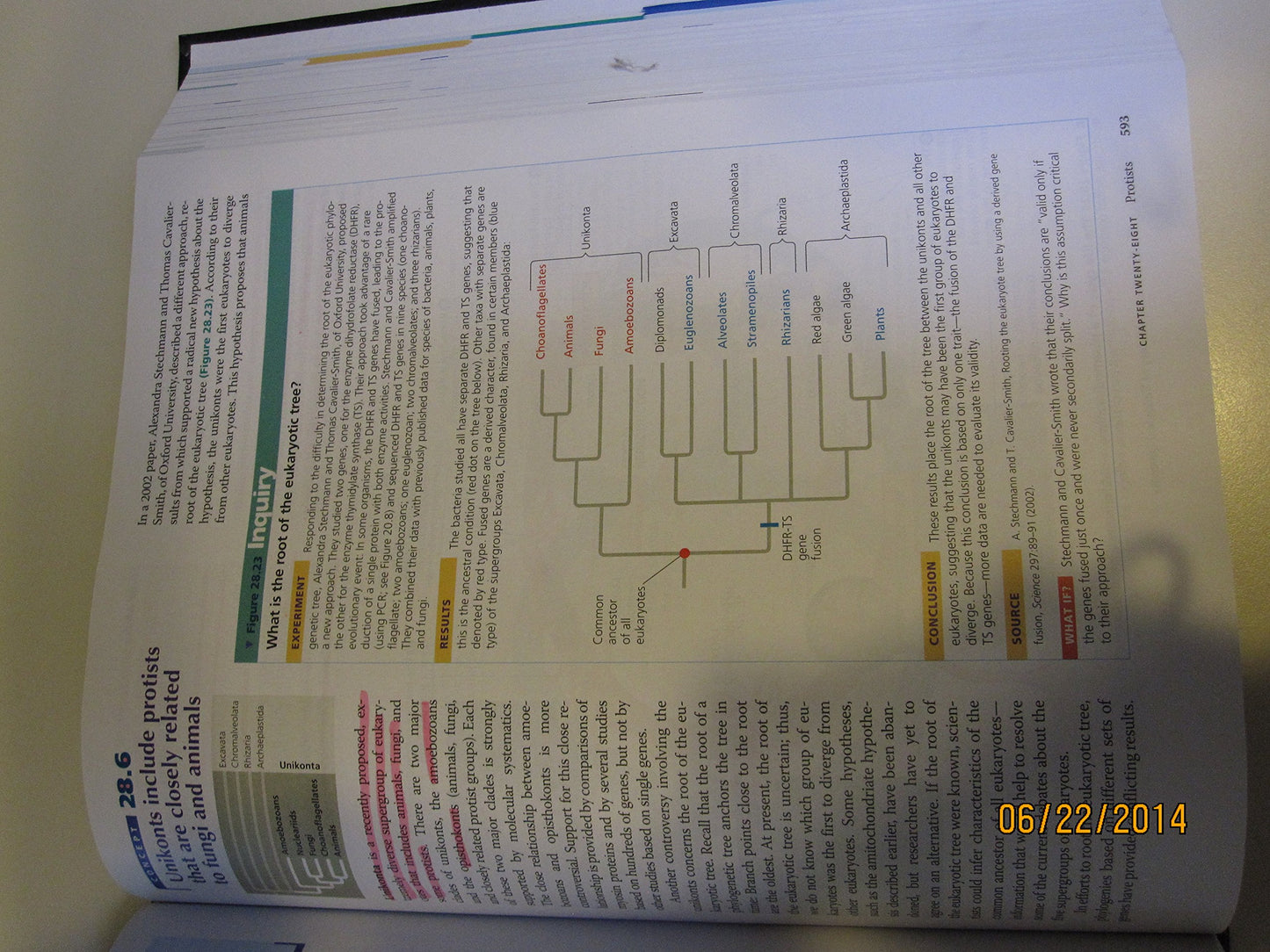 Biology: NASTA Edition