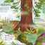 The Magic and Mystery of Trees (The Magic and Mystery of the