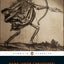 The Adventures of Simplicius Simplicissimus