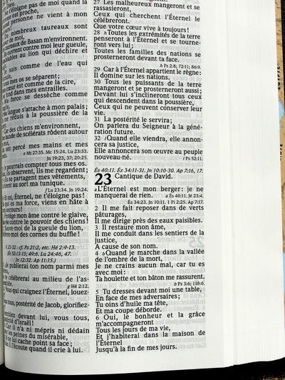 French Bible Segond 1910 Black Hardcover Handheld Size Red
