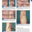 Power Carving Manual, Second Edition: Tools, Techniques, and 22 All-Time Favorite Projects (Fox Chapel Publishing) Step-by-Step Projects and Photos, Buyer's Guide, Expert Information, and Inspiration