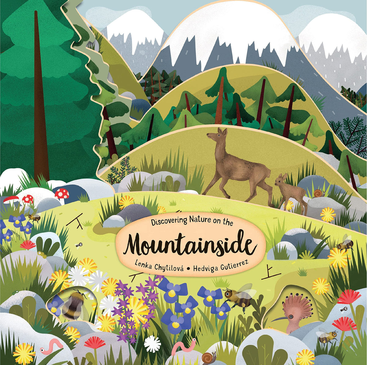 Discovering Nature on the Mountainside (Happy Fox Books) Unique Board Book Teaches Kids Ages 3-6 about the Mountains with Every Turn of the Page, plus Fun Facts and Vocabulary Words