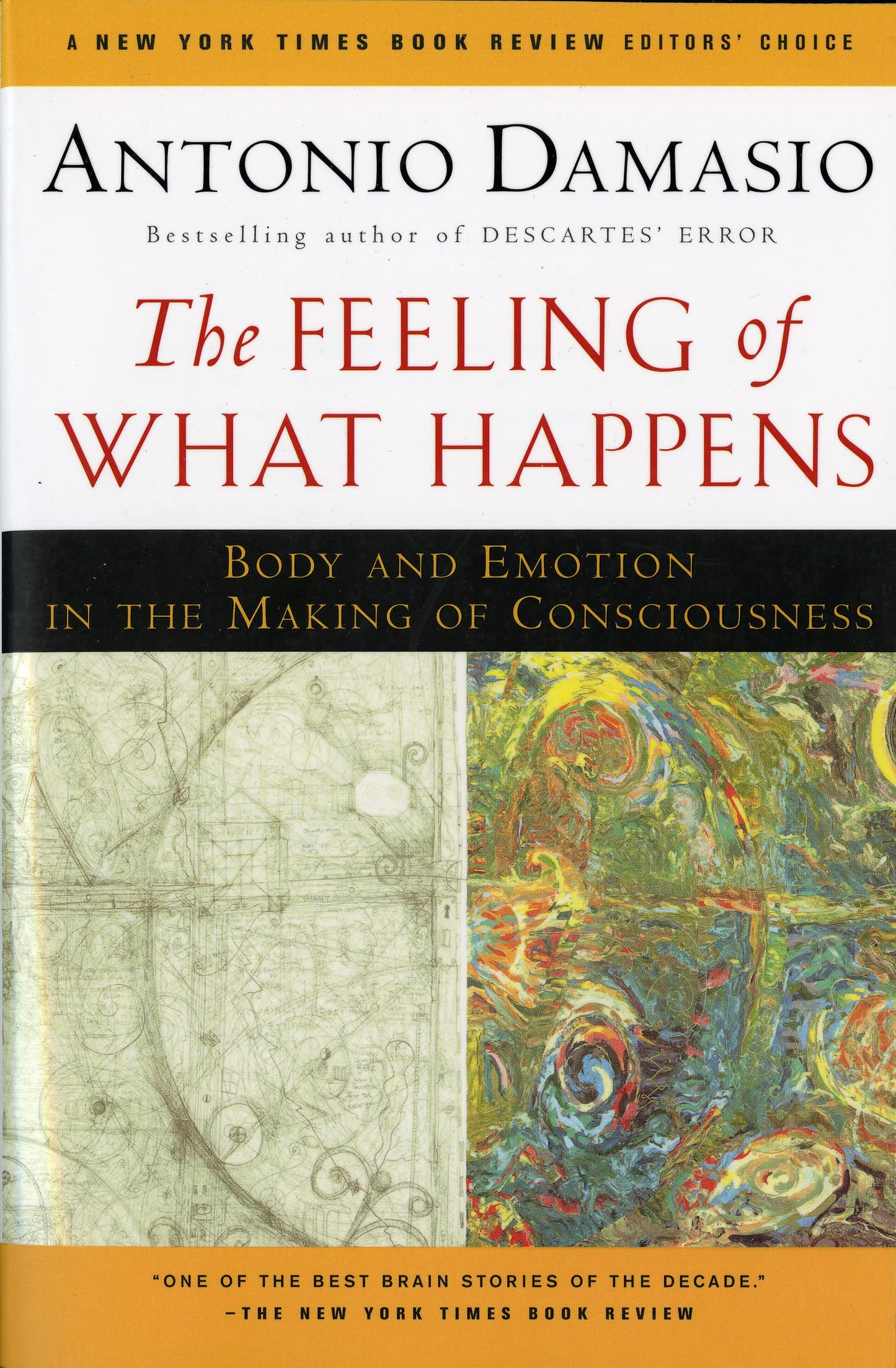 The Feeling Of What Happens: Body and Emotion in the Making