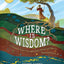 Where Is Wisdom?: A Treasure Hunt Through God's Wondrous World, Inspired by Job 28