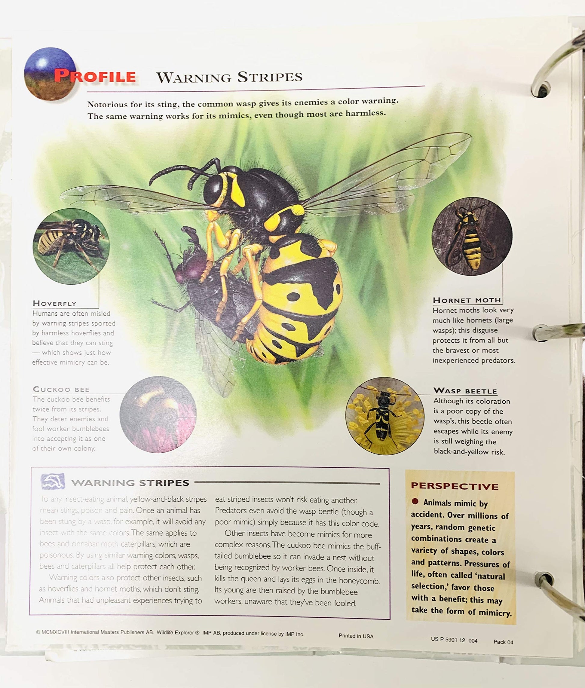 Wildlife Explorer (Group 1 through Group 8)