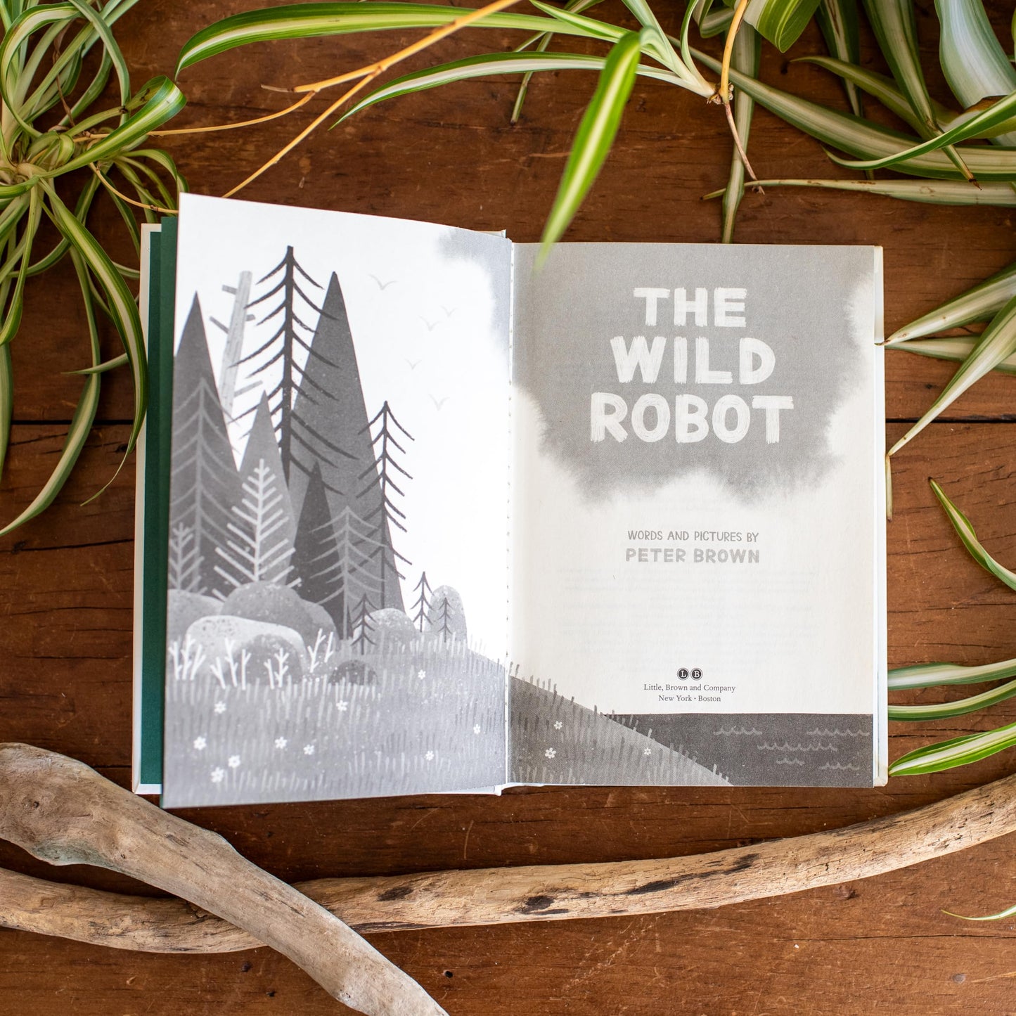The Wild Robot (Volume 1)