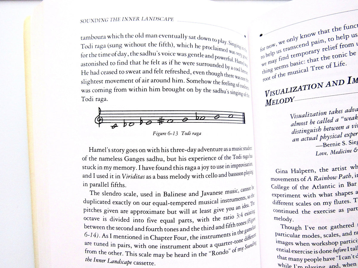 Sounding the Inner Landscape: Music As Medicine