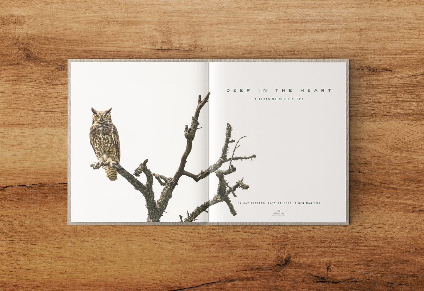 Deep in the Heart: A Texas Wildlife Story
