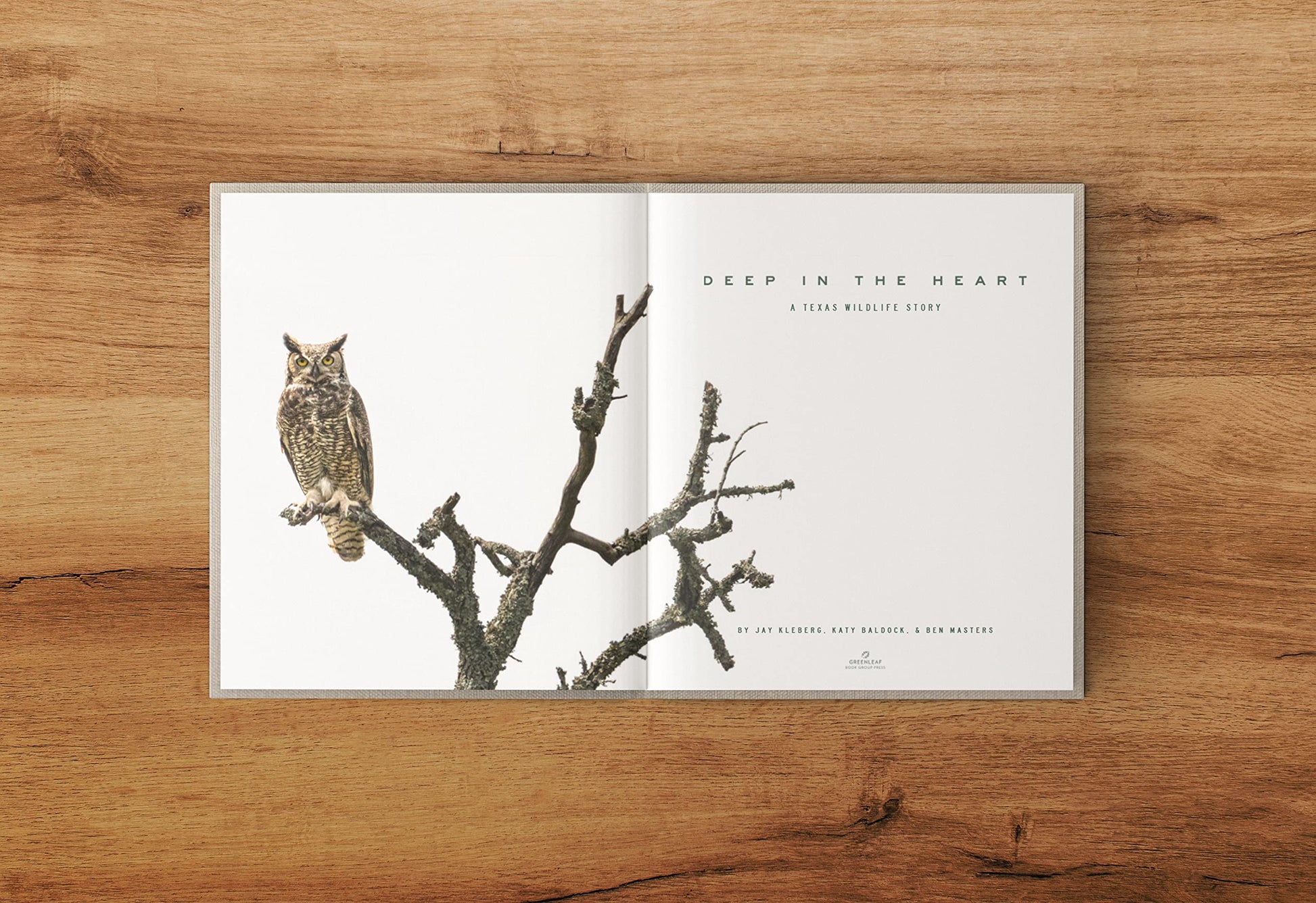 Deep in the Heart: A Texas Wildlife Story