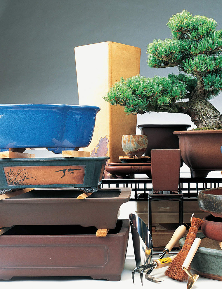The Bonsai Handbook (IMM Lifestyle Books) The Science and Art of Bonsai from Anatomy to Aesthetics, and How to Grow Your Own, including Pinching, Pruning, Wiring, Holiday Care, and a Photo Gallery — back cover