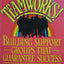 Teamworks: Building Support Groups That Guarantee Success by