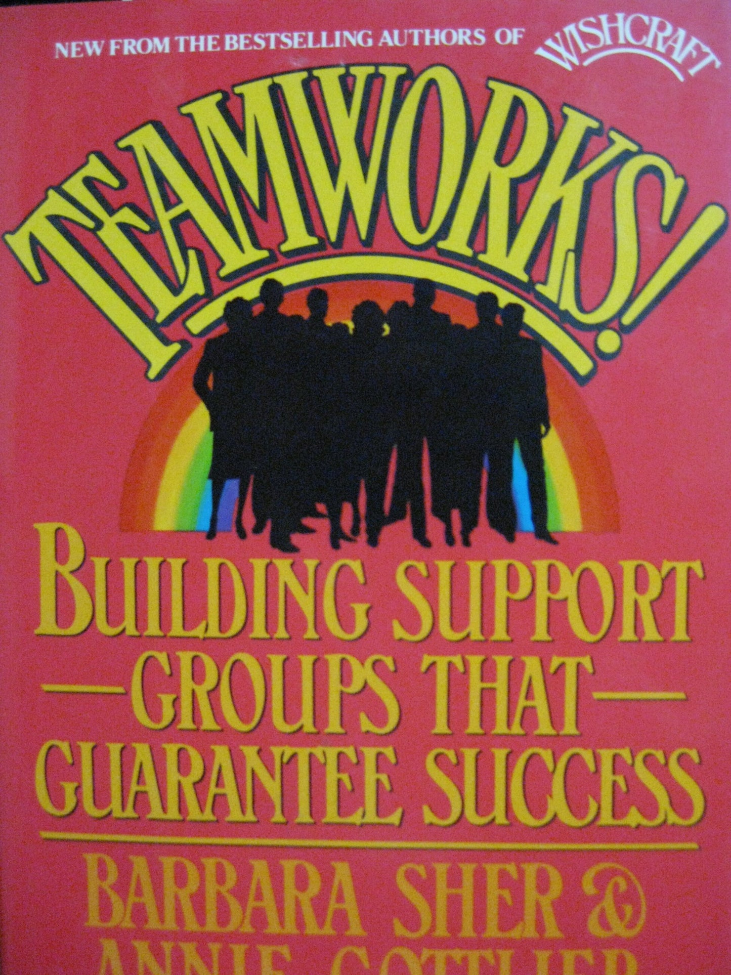 Teamworks: Building Support Groups That Guarantee Success by