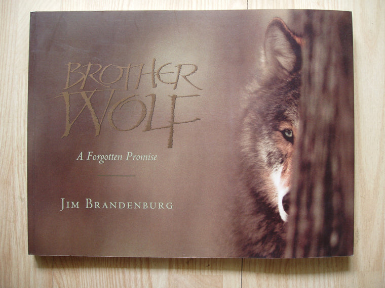 Brother Wolf