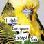 I Hate Everyone, Except You