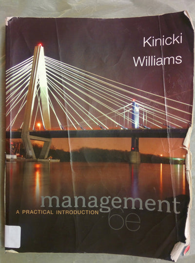 Management: A Practical Introduction