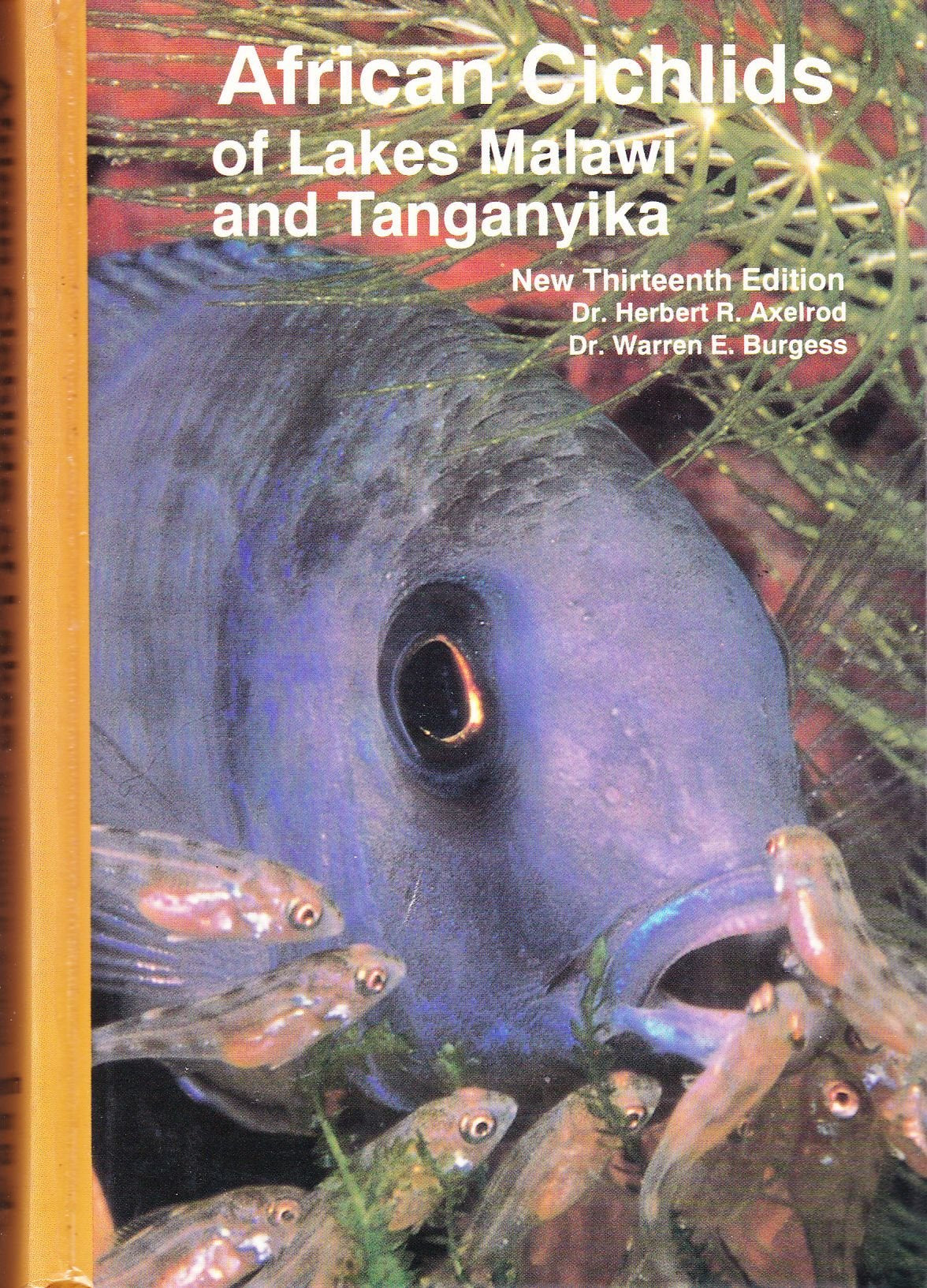 African Cichlids of Lakes, Malawi, and Tanganyika