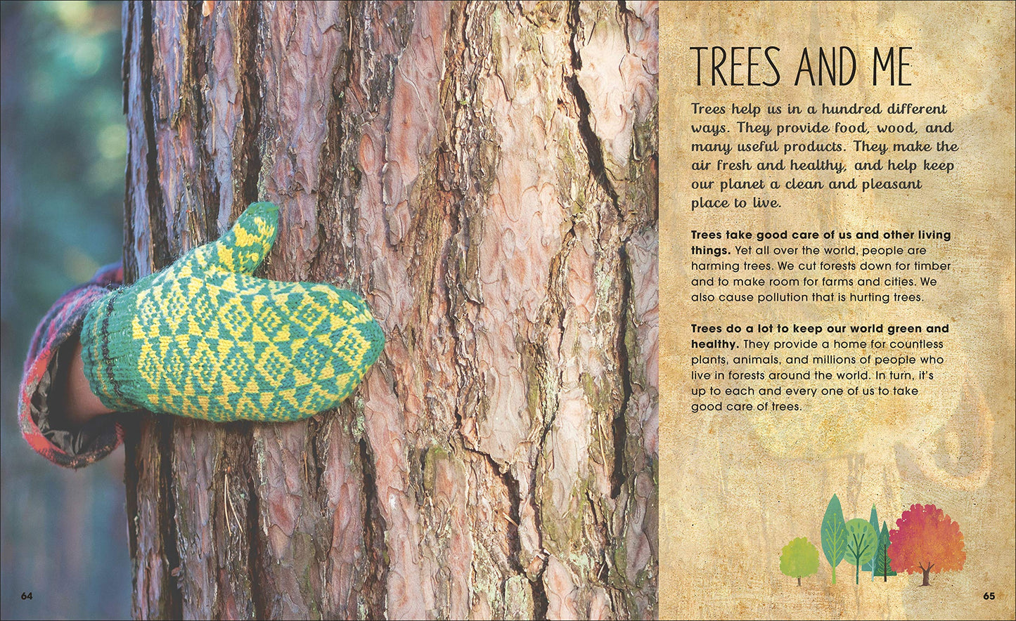 The Magic and Mystery of Trees (The Magic and Mystery of the