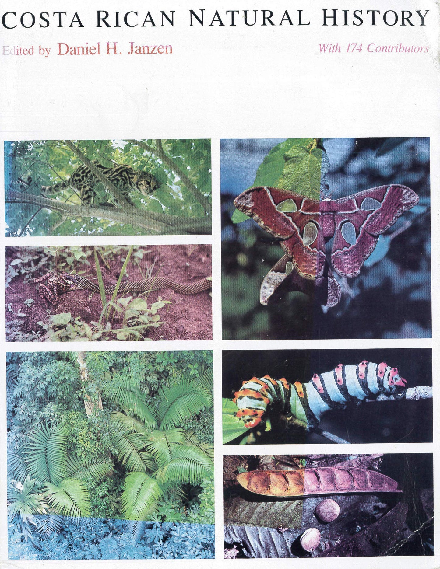 Costa Rican Natural History