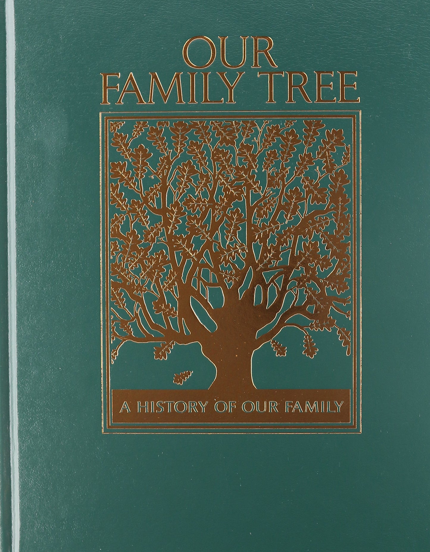 Our Family Tree: A History of Our Family