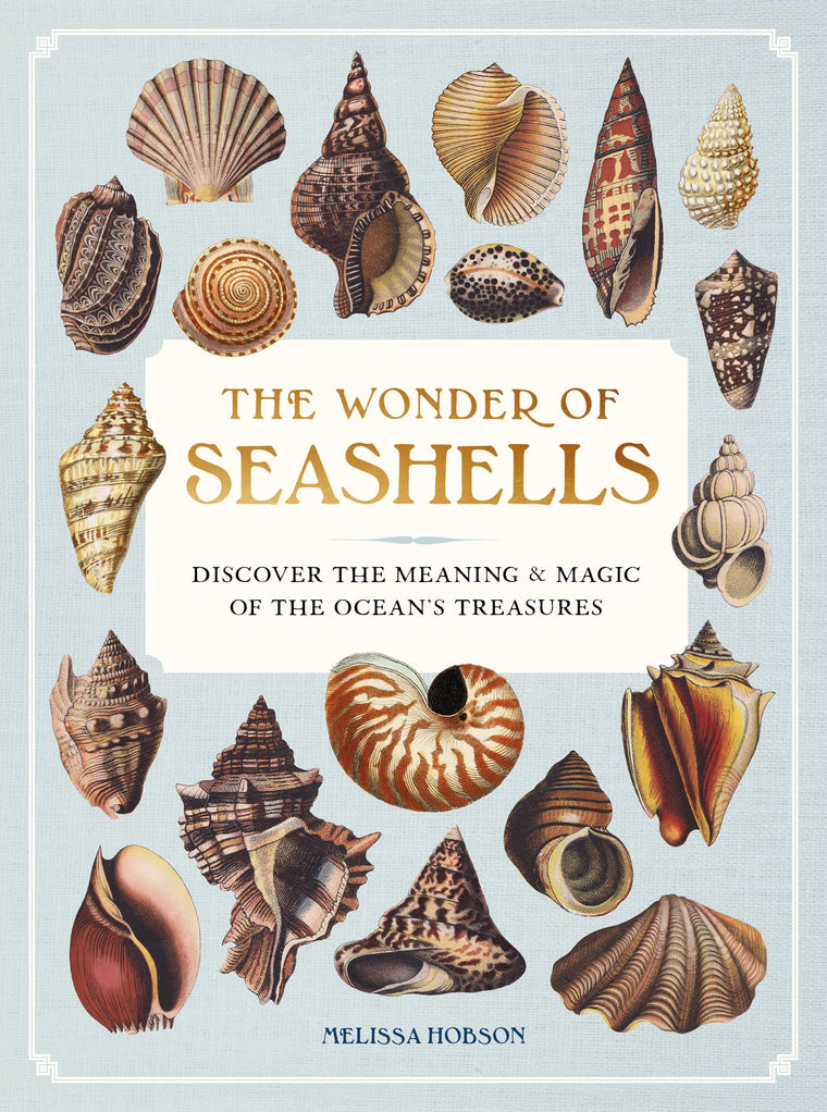 The Wonder of Seashells: Discover the Meaning and Magic of the Oceans Treasures