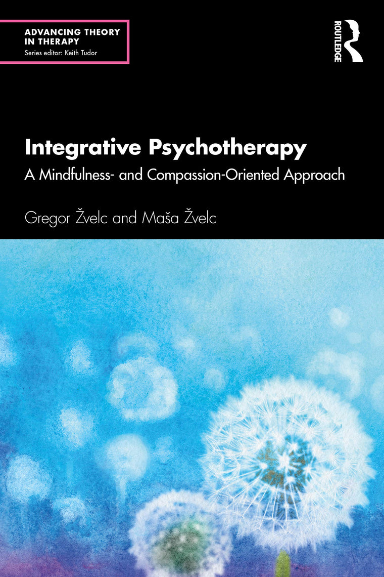 Integrative Psychotherapy (Advancing Theory in Therapy)